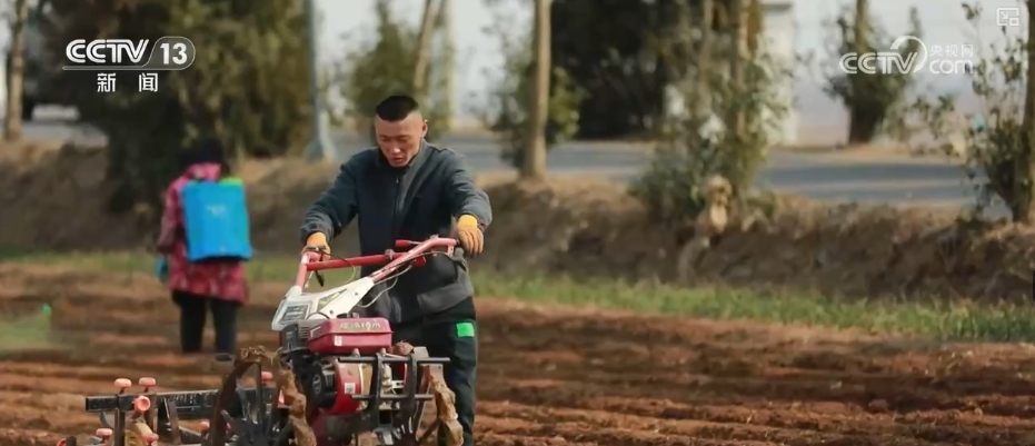 科技赋能农业生产 “良种+托管”夯实粮食丰收基础