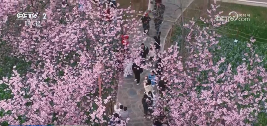 各地掀起赏花热潮 “花经济”在春日中盛开