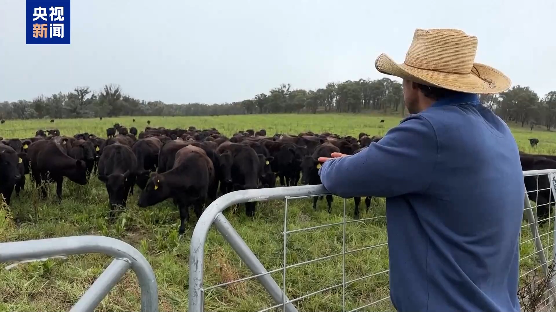 反对美国新关税政策多国政府发声_新闻频道_央视网(cctv.com)