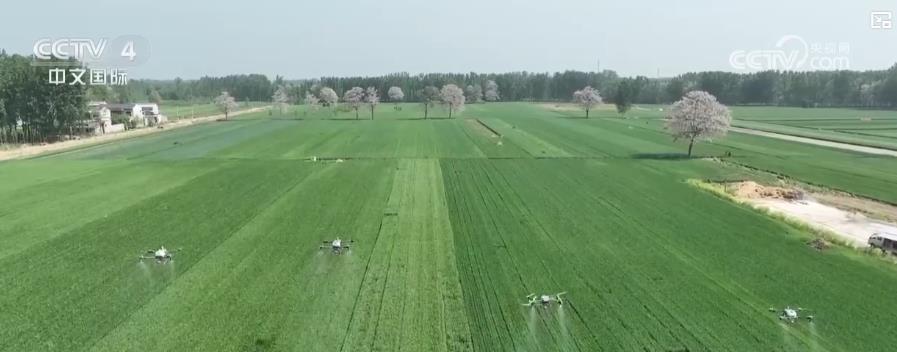 全国春播加速推进 夏粮生产关键期各地全力保丰收