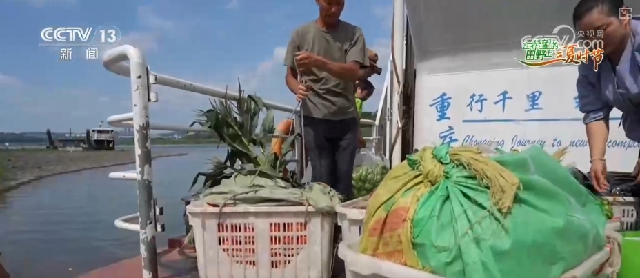 “智慧农业”点亮农旅融合发展 江上“菜篮子”将“流量”变“增量”