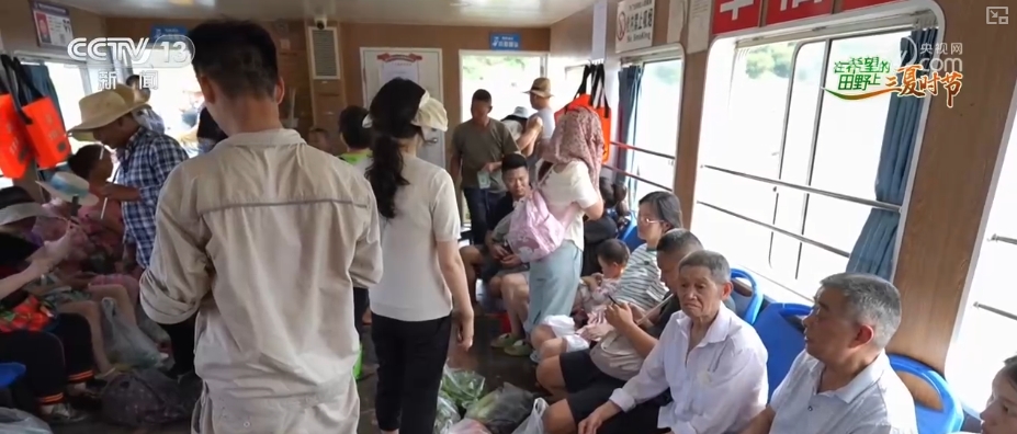 “智慧农业”点亮农旅融合发展 江上“菜篮子”将“流量”变“增量”