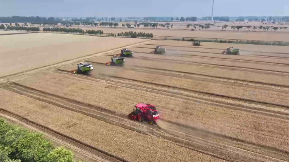 &ldquo;三夏&rdquo;生产一线观察｜智能农业&ldquo;慧&rdquo;丰收