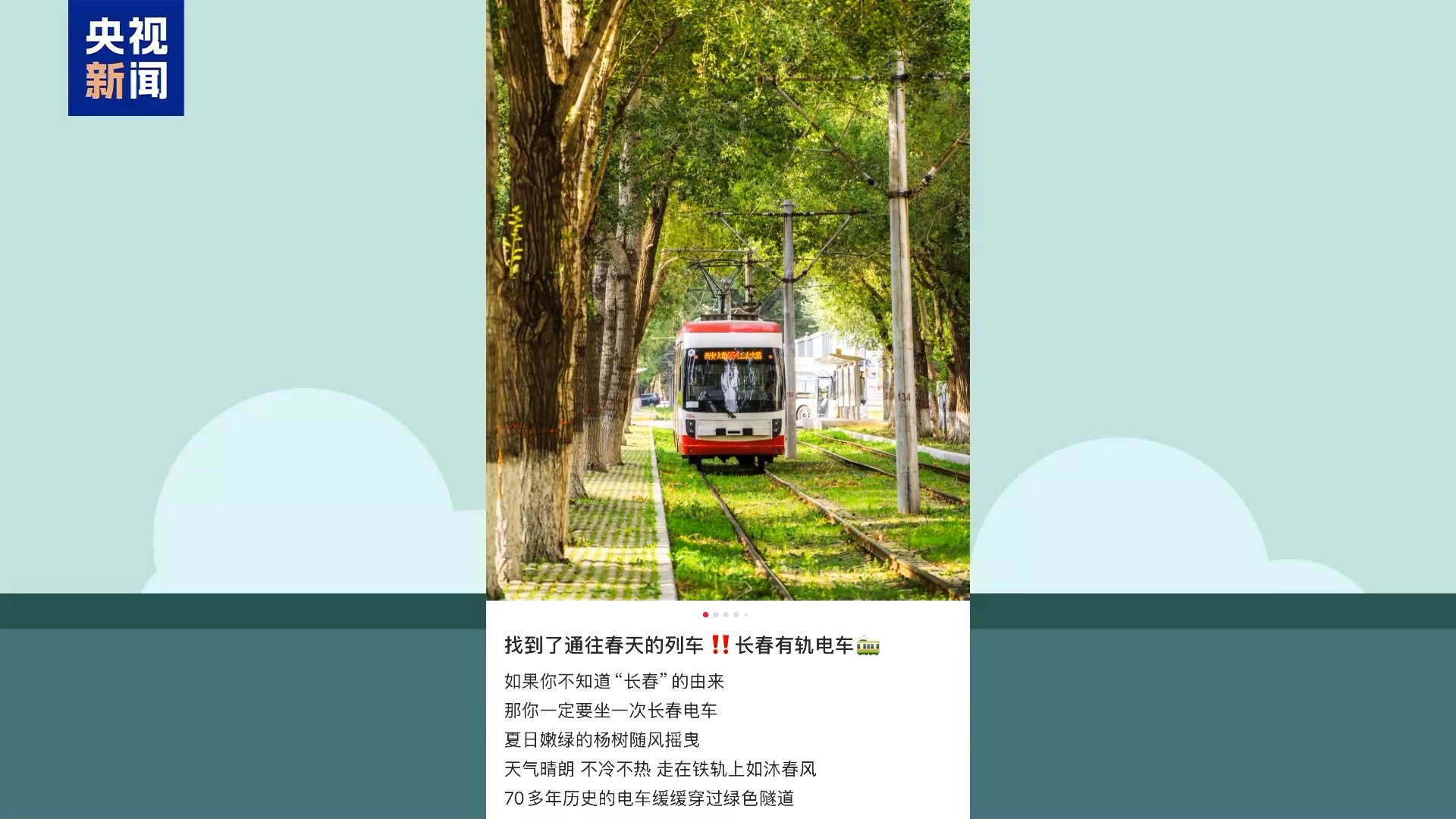 城市的浪漫藏不住了！這個(gè)夏天祝你一路生花