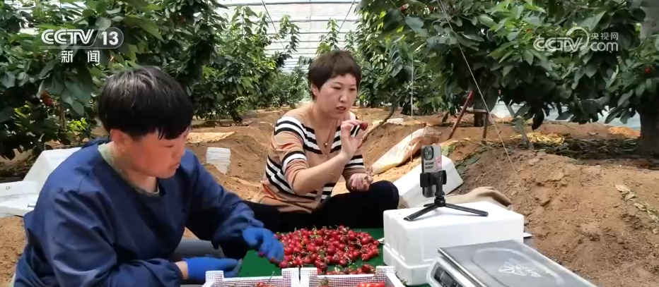 15亿件！小包裹撬动经济大市场 科技赋能快递业“跑”出加速度  第2张