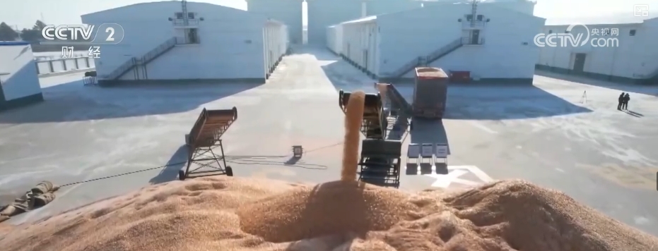 越南總理：期望中資企業(yè)將越南作為出資熱土