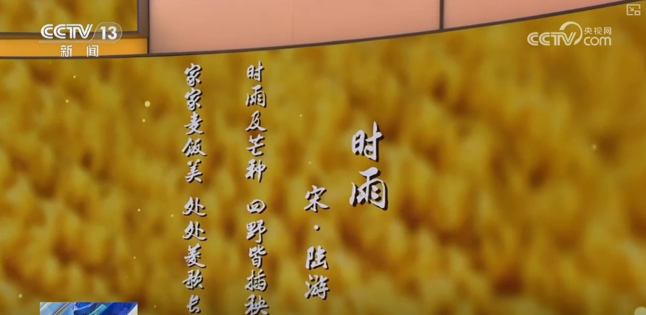 风吹麦成浪 静待稻花香 | 95秒聆听诗词中的芒种  第1张
