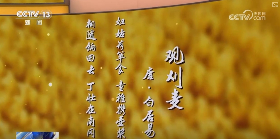 风吹麦成浪 静待稻花香 | 95秒聆听诗词中的芒种  第3张