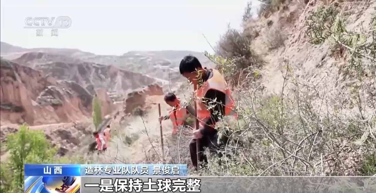 机械治沙造林比例接近50%！“三北”工程攻坚战取得新进展  第5张