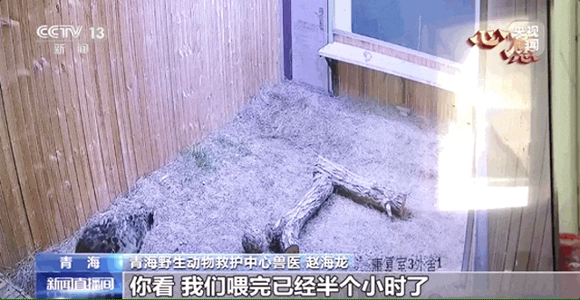 優(yōu)化布局苦練內(nèi)功 光伏產(chǎn)業(yè)在調(diào)整中挖掘機遇