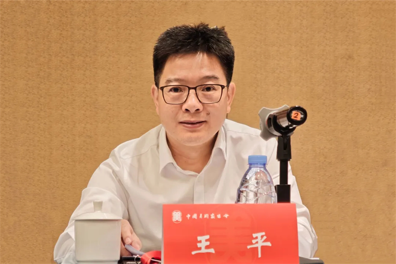 中国美协分党组成员、秘书长王平作换届情况说明