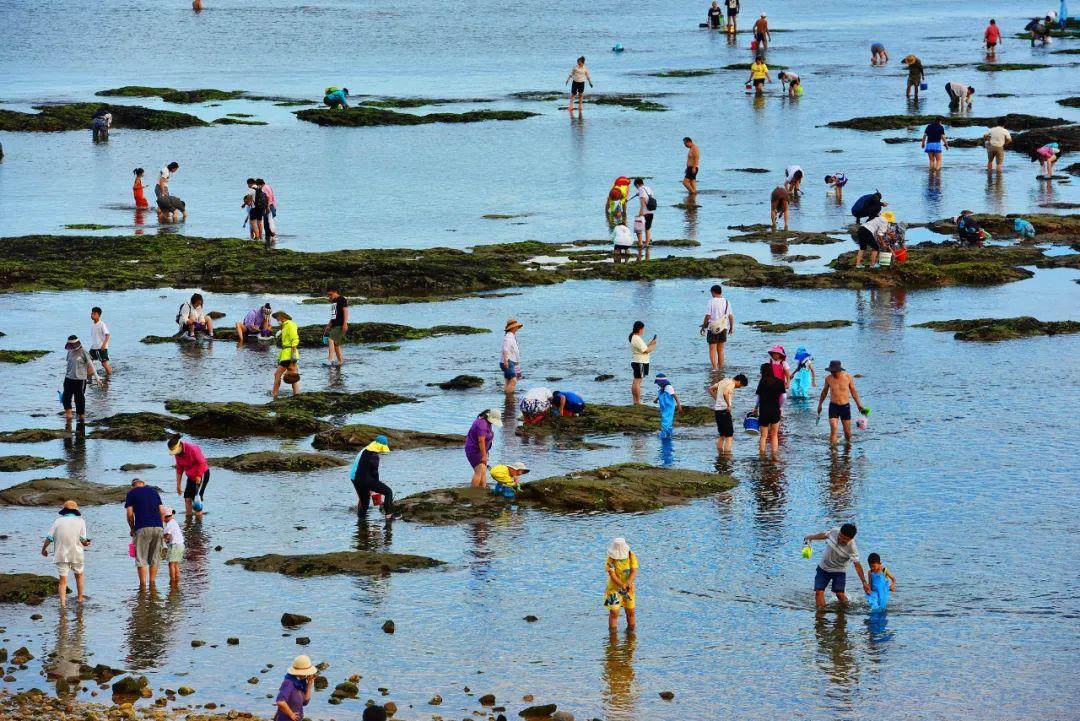 暑假开启，小海鲜伤人事件频发！赶海防护必看→_新闻频道_央视网(cctv.com)