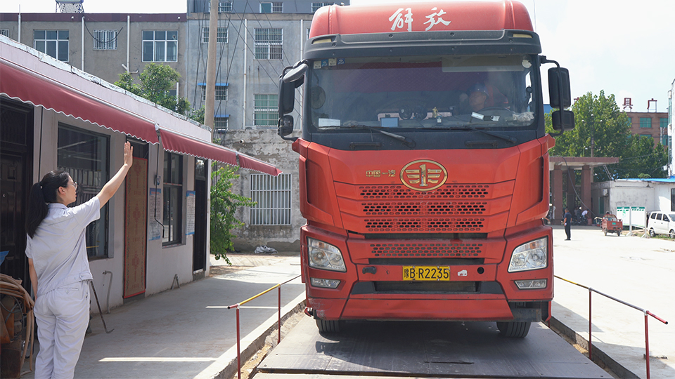 中储粮开封直属库考城租仓库点工作人员正在指挥送粮车辆过磅称重