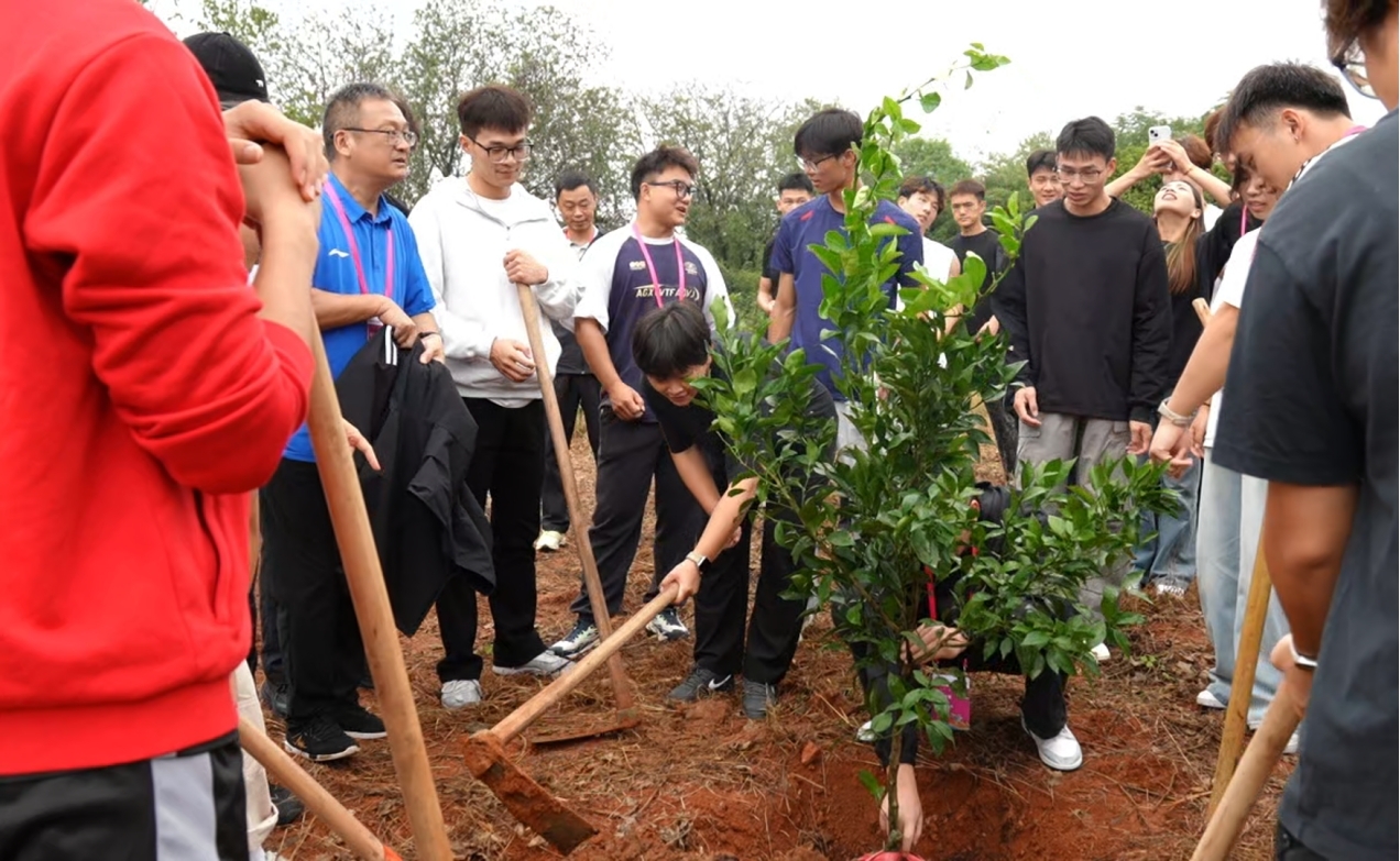 大学生正在栽种橘树