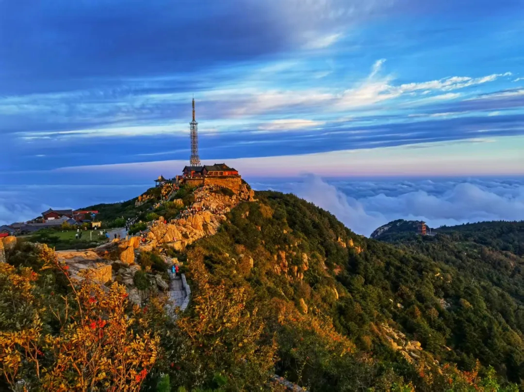 泰山