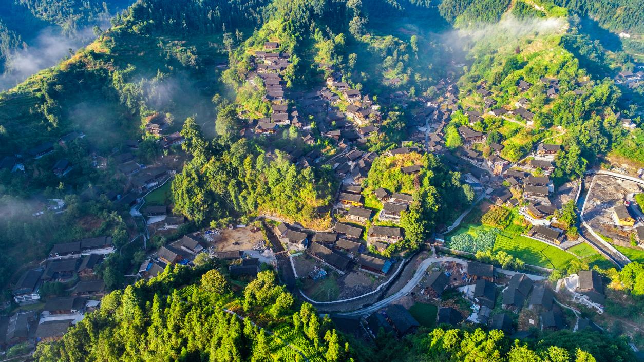 夯吉村茶山中的苗寨