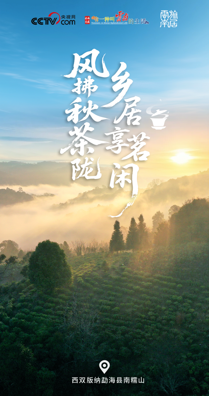 （勐海县委宣传部 供图）