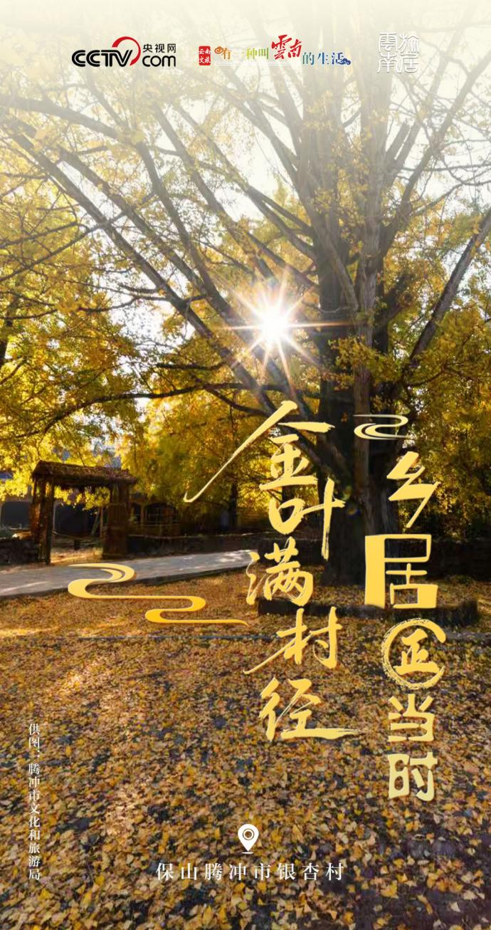 （腾冲市文化和旅游局 供图）