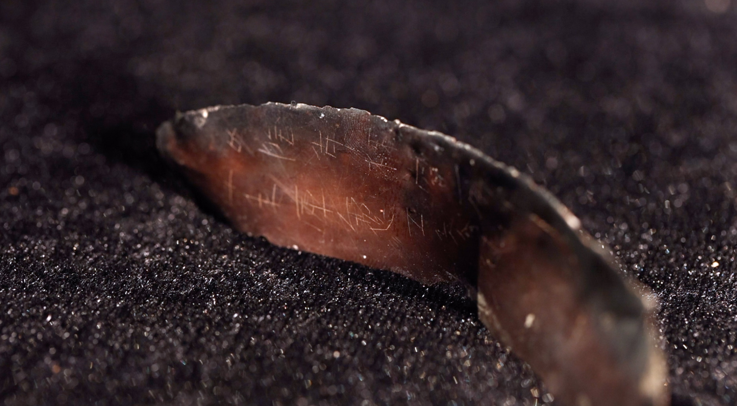 帶銘文的漆器殘片