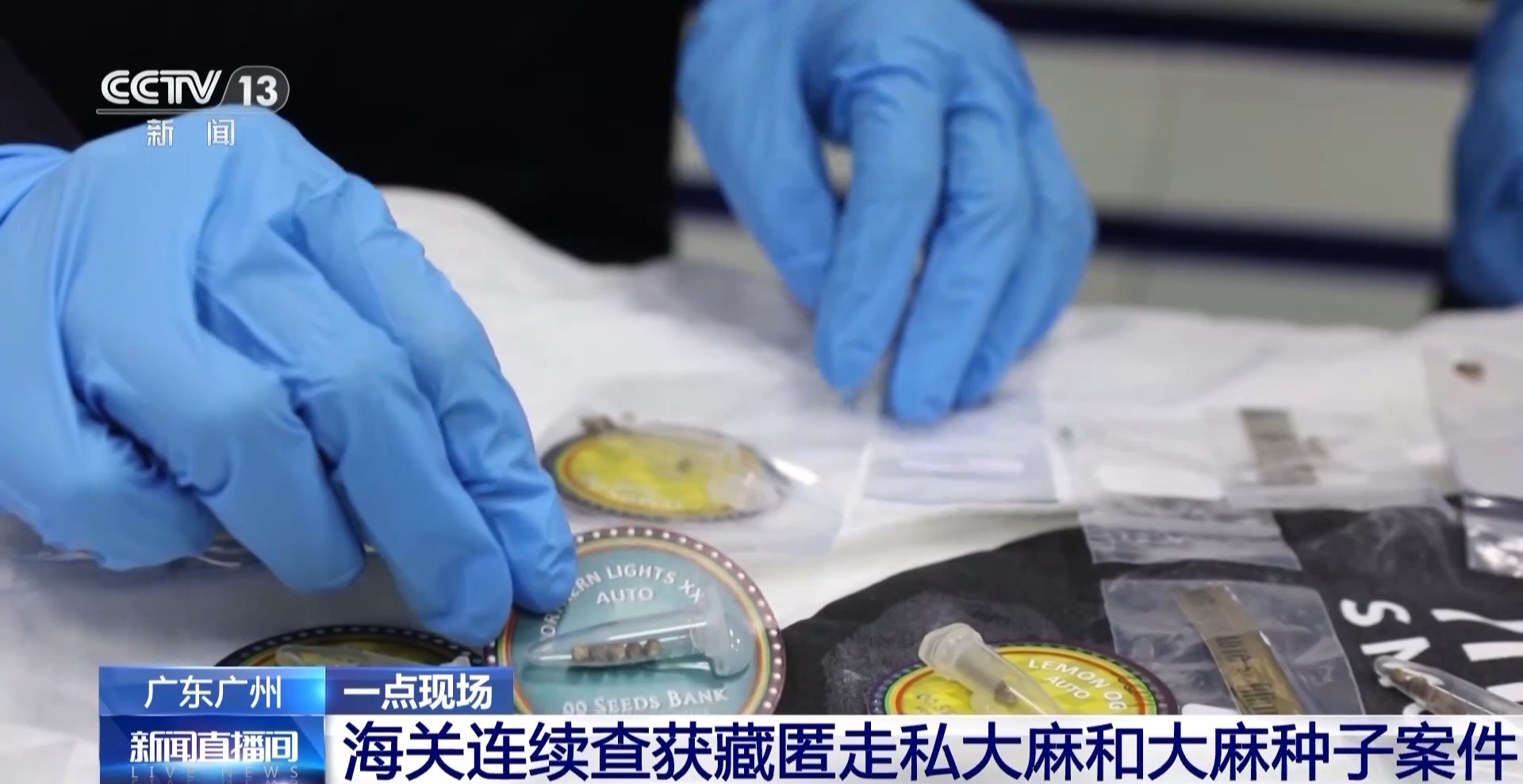 申报家具变“咖啡”？海关连续查获藏匿走私大麻和大麻种子案件