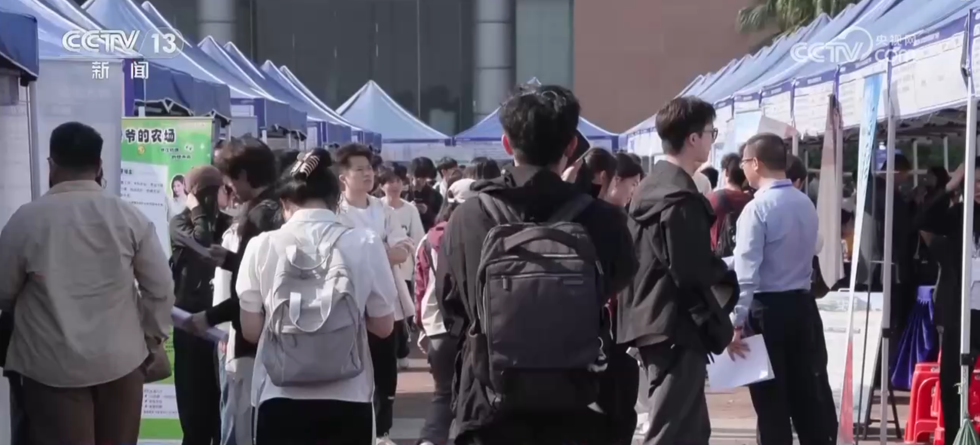 2.1万场、53.7万家，护航青年就业！2025年“秋招”提供岗位超千万个