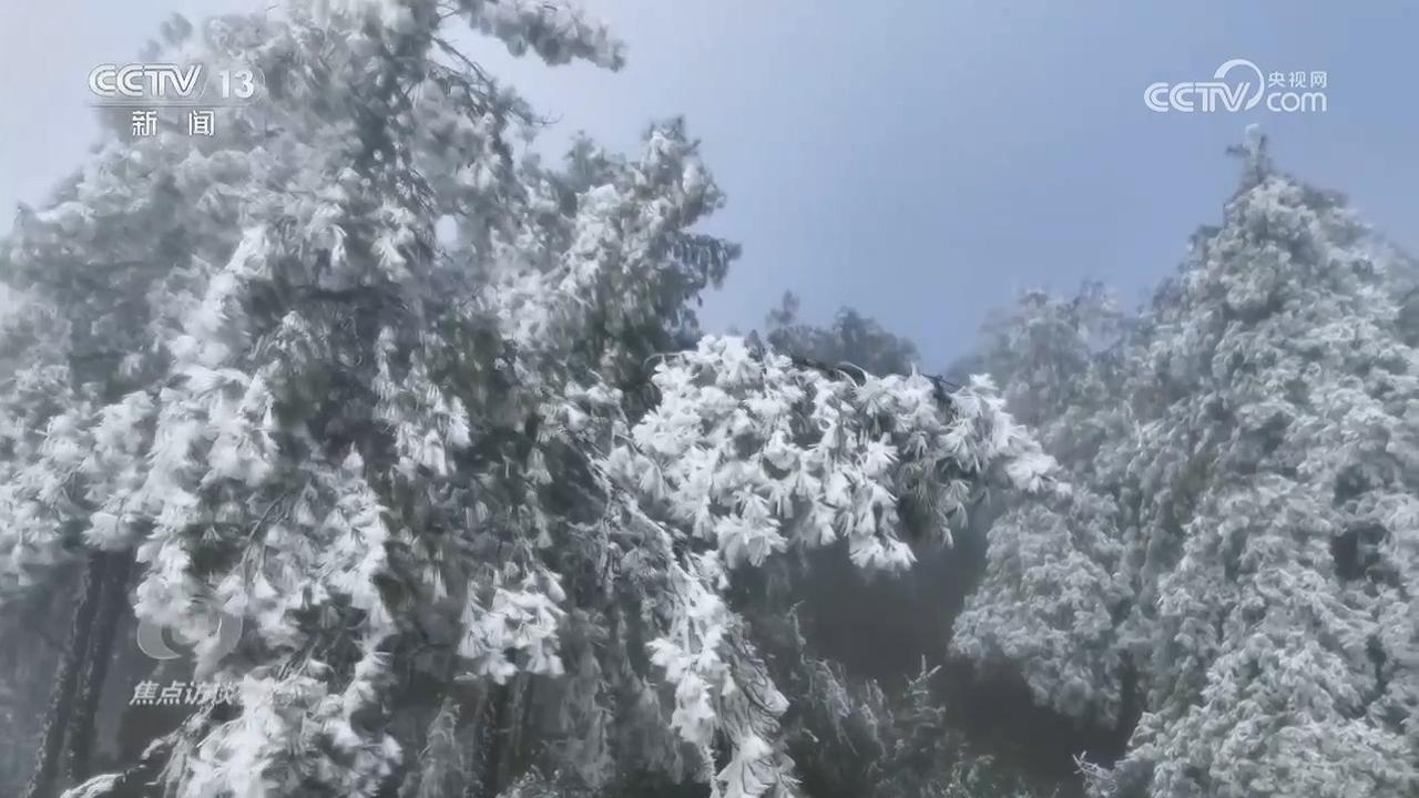 坚守“菜篮子”“暖屋子” 寒潮下的民生保障暖人心