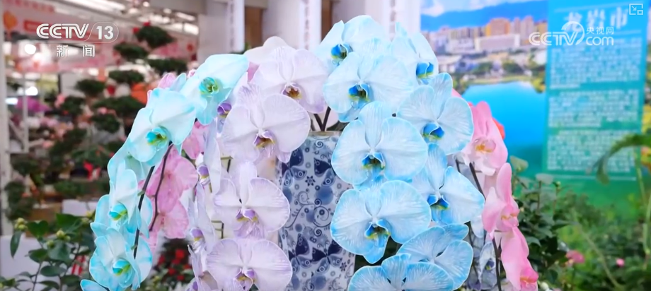 打开赏花地图看繁花美景聚人气、多元场景带旺消费