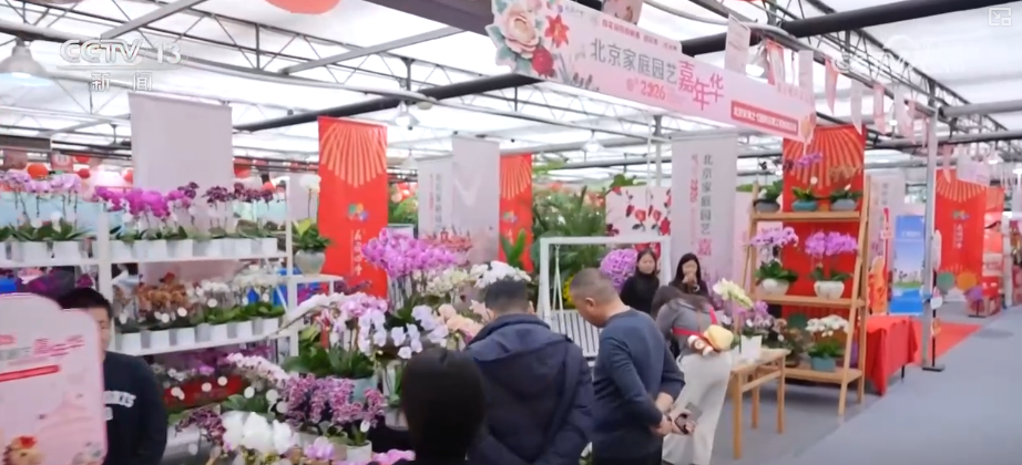 打开赏花地图看繁花美景聚人气、多元场景带旺消费