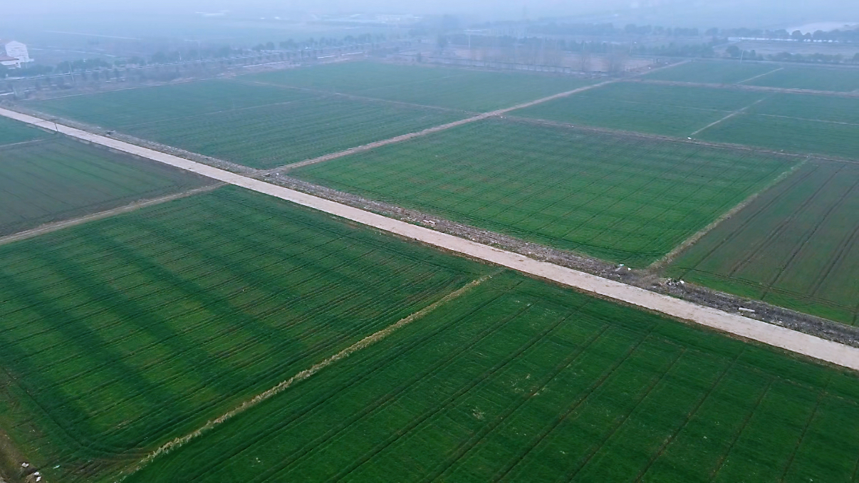 湖北香润生态科技有限公司种植基地