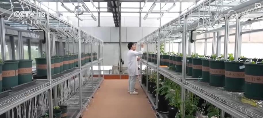 给麦田做“CT”、为种子装“芯片”:新质生产力赋能 春耕春管开启智慧模式