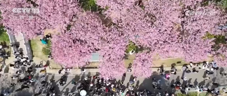 百姓“家门口”尽享春日惬意 感受别样“诗与远方”