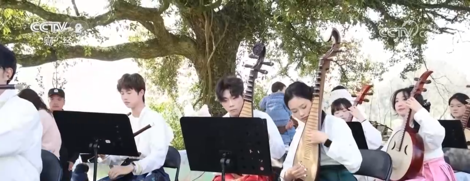 花田音乐、花海集市、采春茶 “春日经济”活力澎湃 消费新业态“枝繁叶茂”