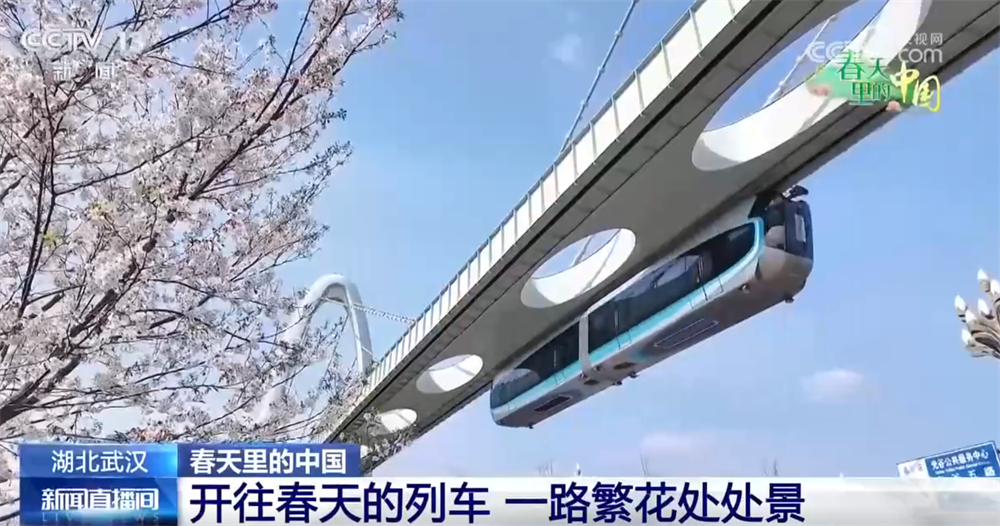 春日繁花处处景以“旅”兴农 “赏花经济”以花为媒激活乡村振兴新脉动