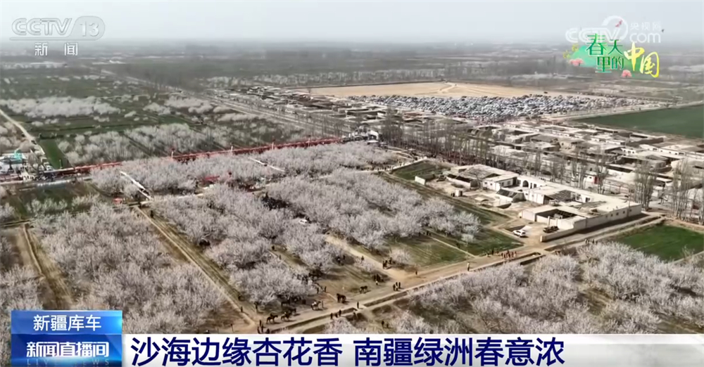 春日繁花处处景以“旅”兴农 “赏花经济”以花为媒激活乡村振兴新脉动