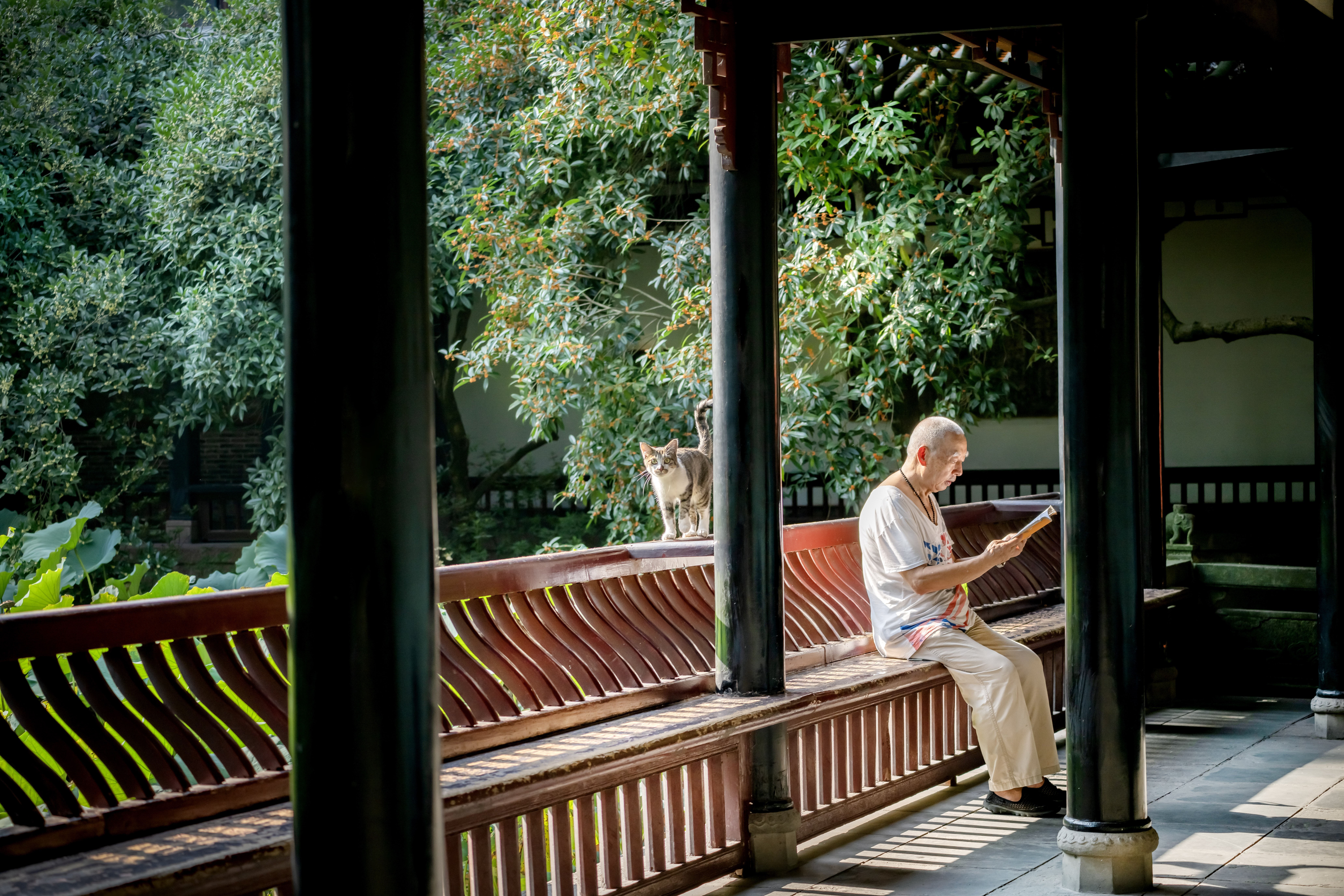 《伴读》周巧旻 摄