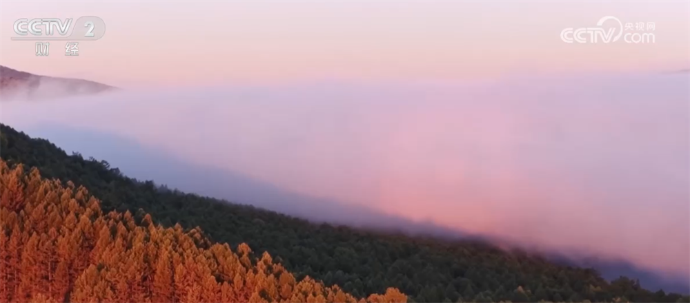 节前文旅市场逐渐升温 多地推陈出新打造本地特色消费新场景
