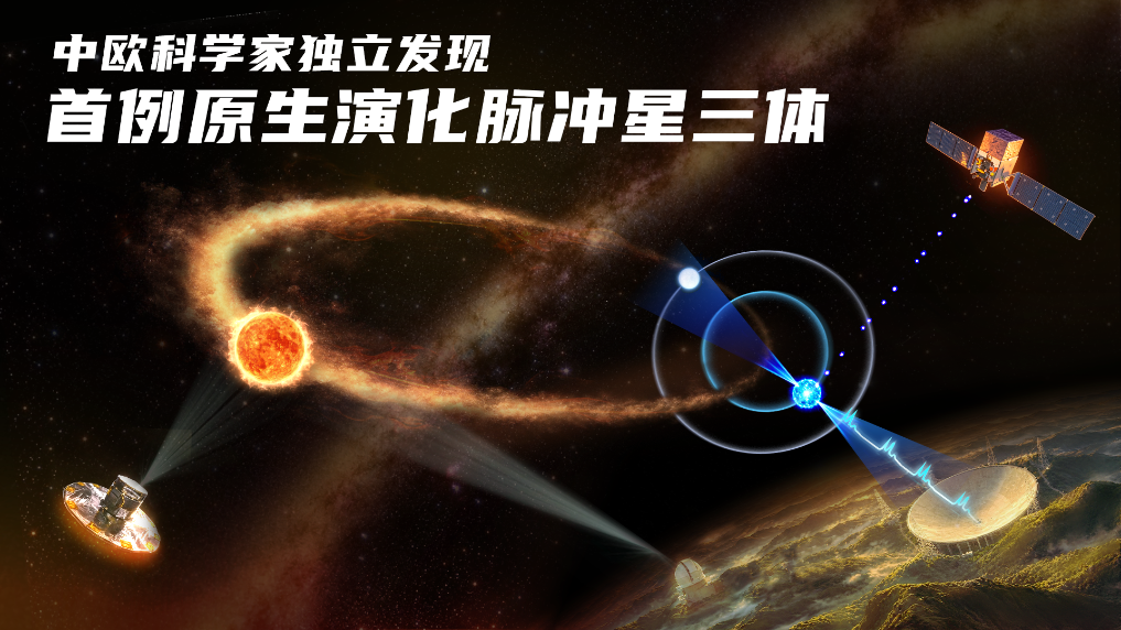 成果演示图。（中国科学院提供）