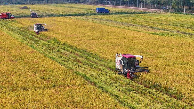 农机油费每亩多花7到10元 农户种粮成本稳住了吗？