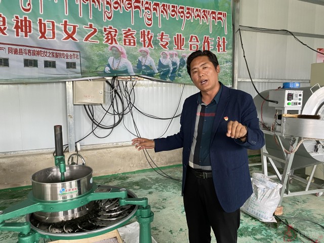 在海拔4000以上的雪域高原海南州同德县生长着一种被誉为"百草之王"