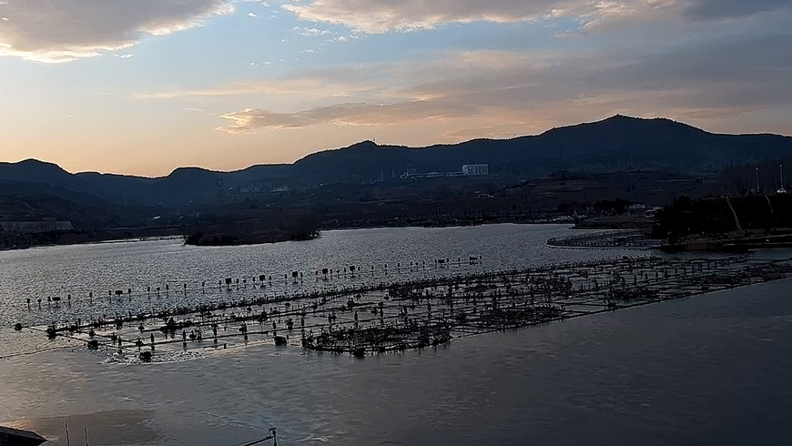 央视网_世界就在眼前