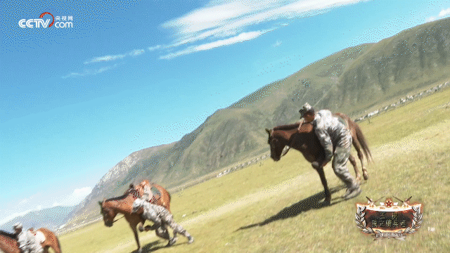 跟随《我的军旅梦》看——"高原骑兵连,向前冲!